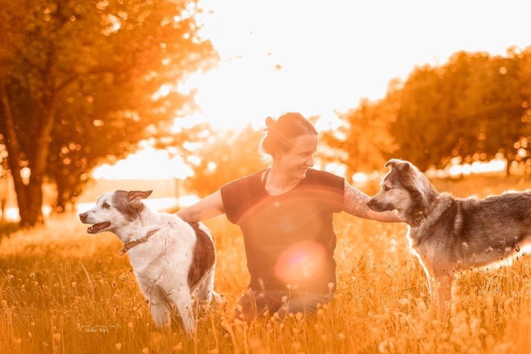 Bild von mir und meinen Hündinnen in der Abendsonne